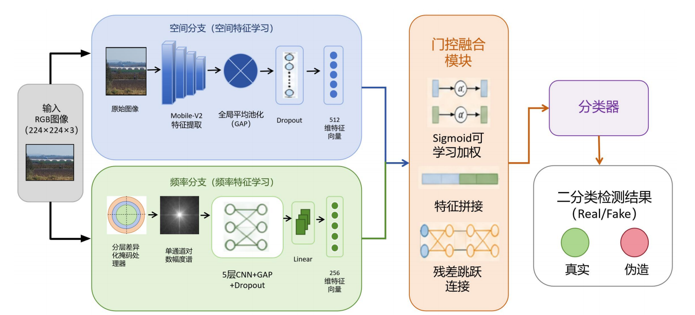 模型流程：输入自然场景图像 → 分层差异化频率掩码（低/中/高频差异化掩码）→ 双分支并行特征提取（空间分支 MobileNet-V2 + 频率分支 CNN-SE）→ 改进门控融合 → 真实 / 伪造分类